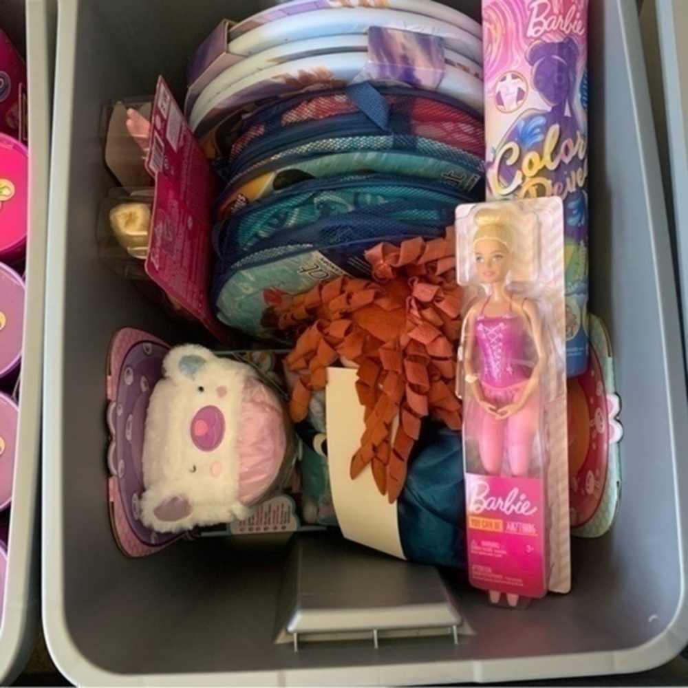 3 for $25 Mystery Box! Girl Toys - Picture 5 of 6
